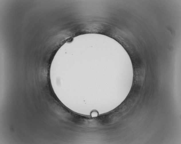 X0000113560309200909181026