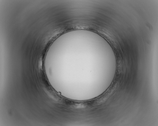 X0000113560310200909181026