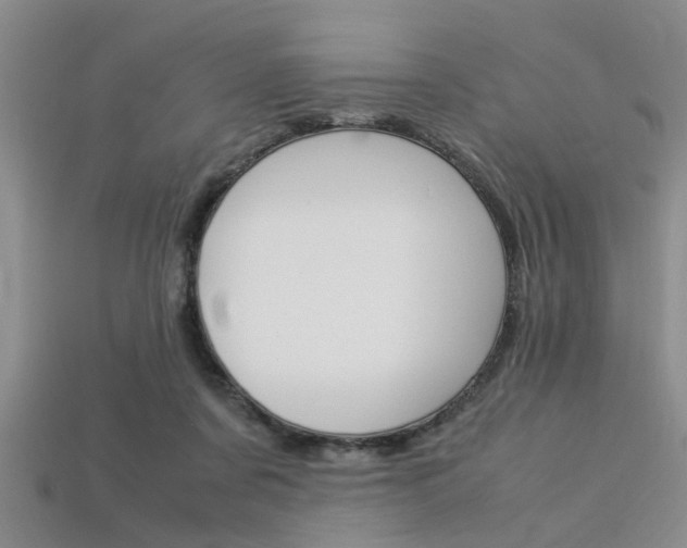 X0000113560311200909181026