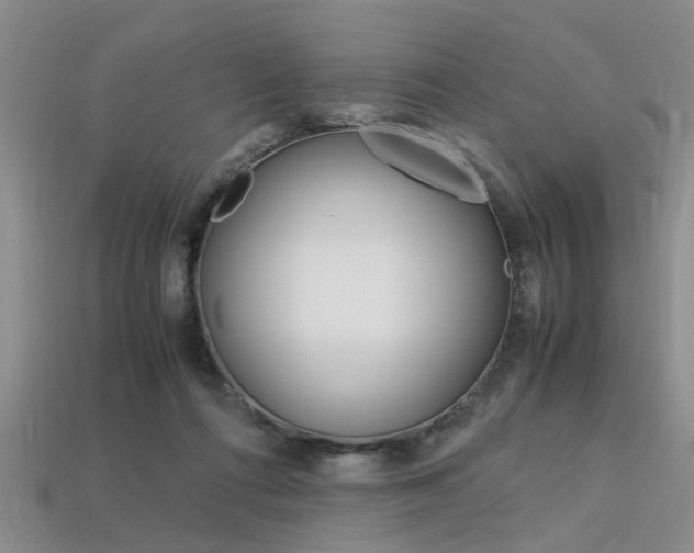 X0000113560312200909181026