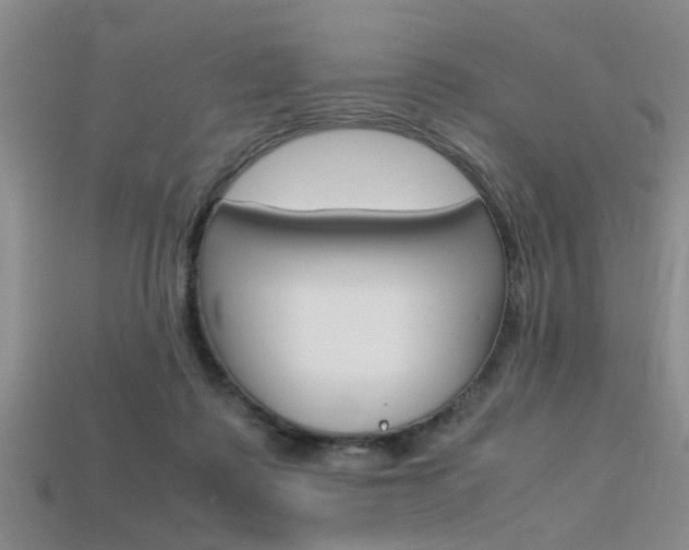 X0000113560315200909181026