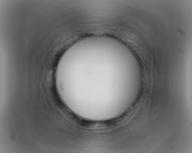 X0000113560319200909181026