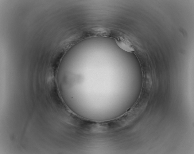 X0000113560320200909181026