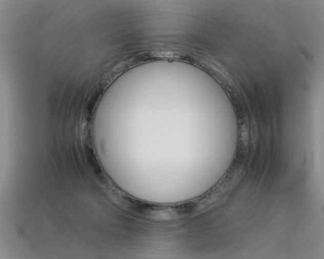 X0000113560322200909181026