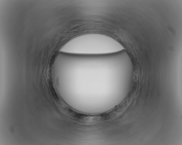 X0000113560323200909181026