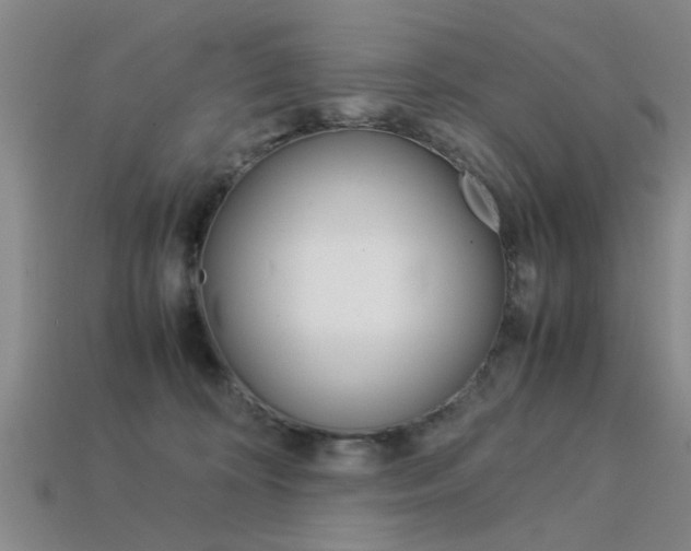 X0000113560324200909181026