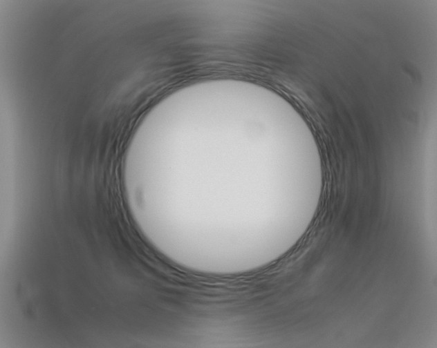 X0000113560325200909181026