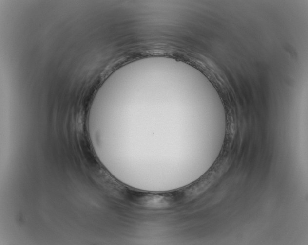 X0000113560326200909181026