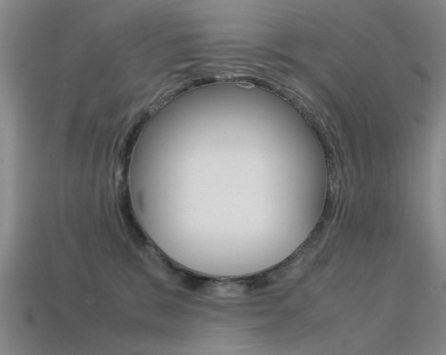 X0000113560327200909181026