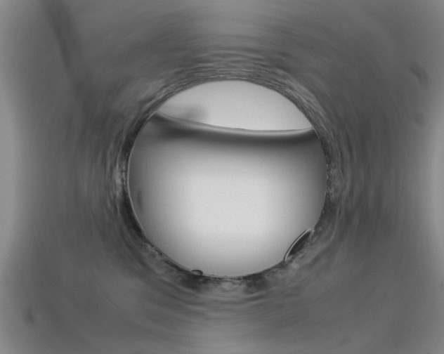 X0000113560329200909181026
