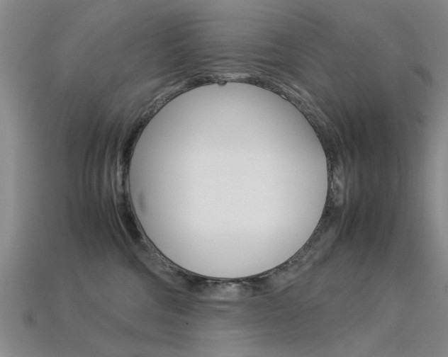 X0000113560330200909181026