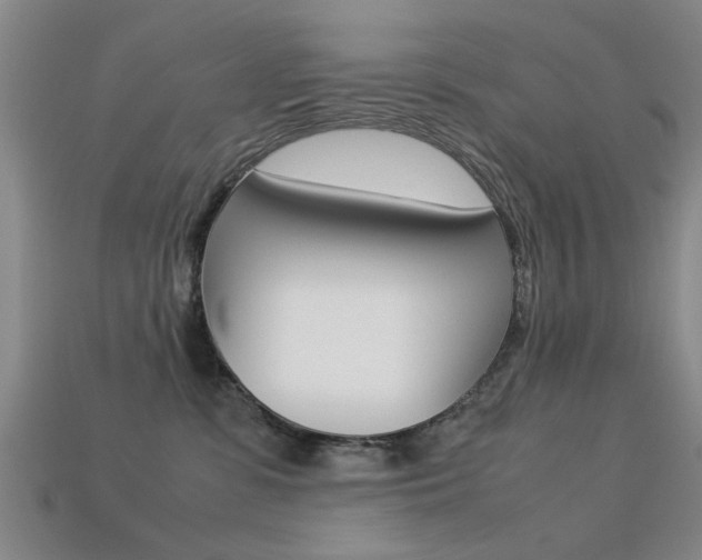 X0000113560331200909181026