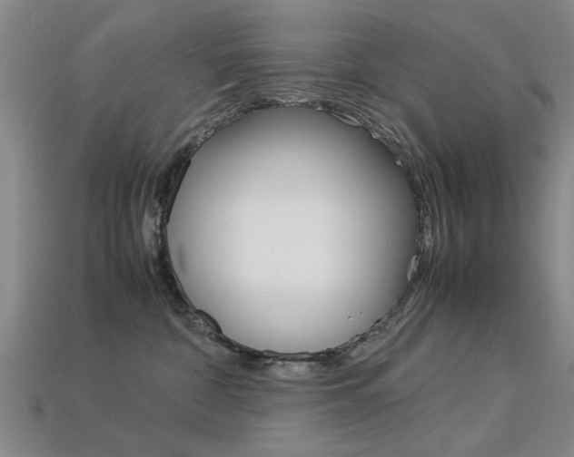 X0000113560332200909181026