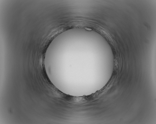 X0000113560333200909181026
