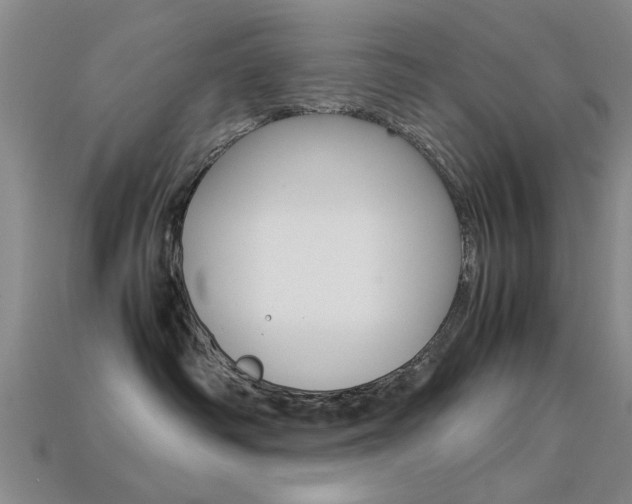 X0000113560334200909181026