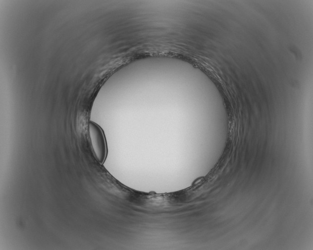 X0000113560335200909181026