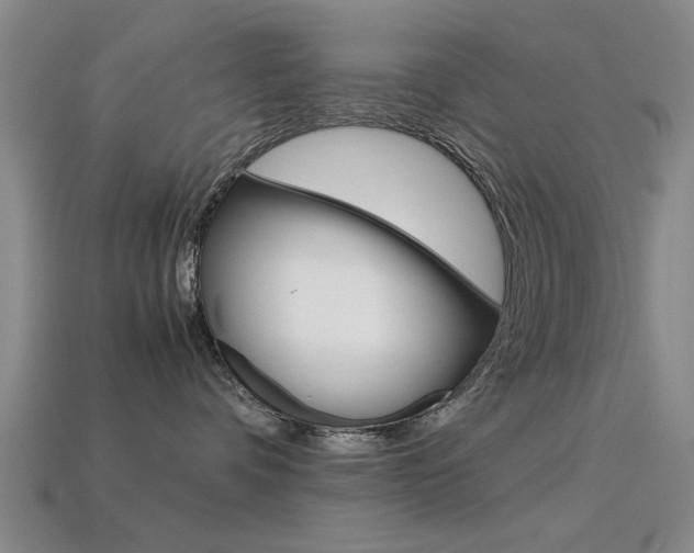 X0000113560336200909181026