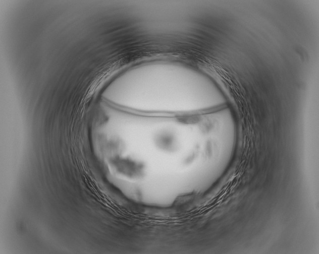 X0000113560337200909181025