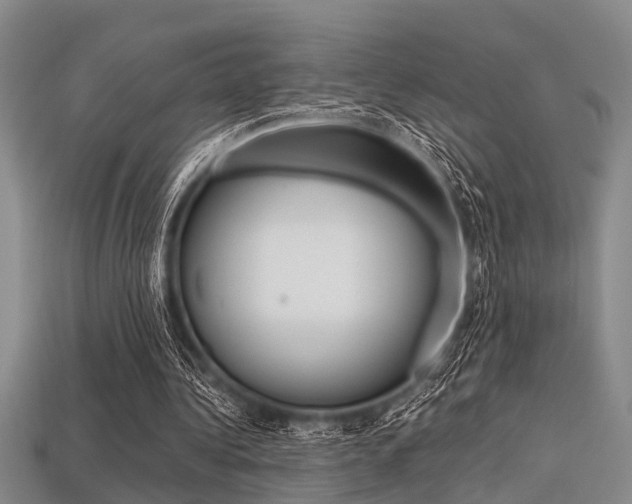 X0000113560340200909181025