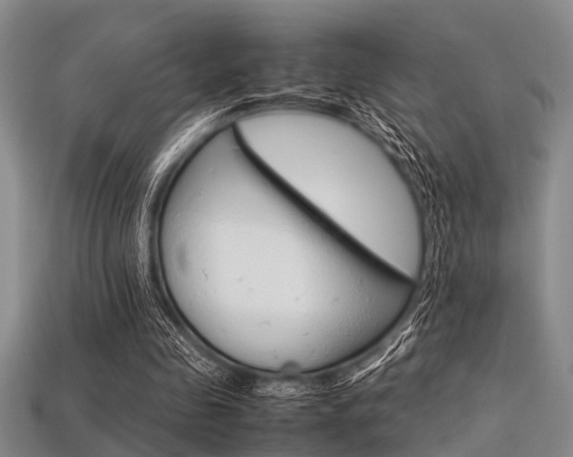 X0000113560341200909181025