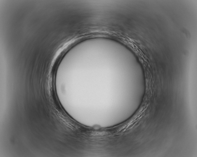 X0000113560342200909181025