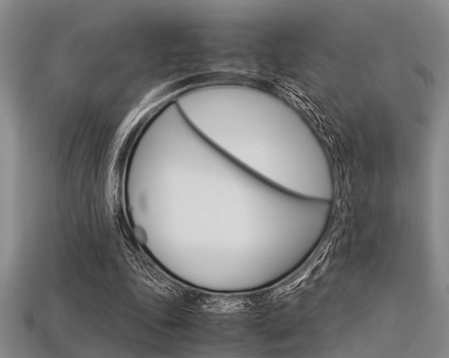 X0000113560343200909181025