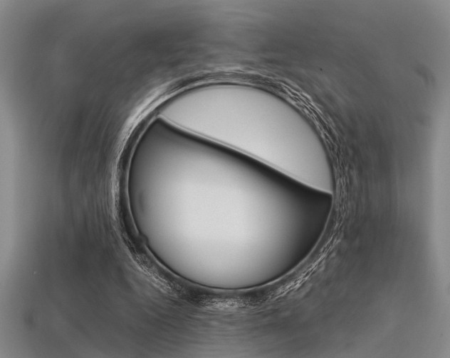 X0000113560344200909181025