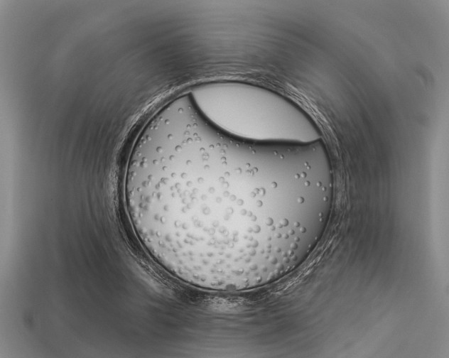 X0000113560346200909181025