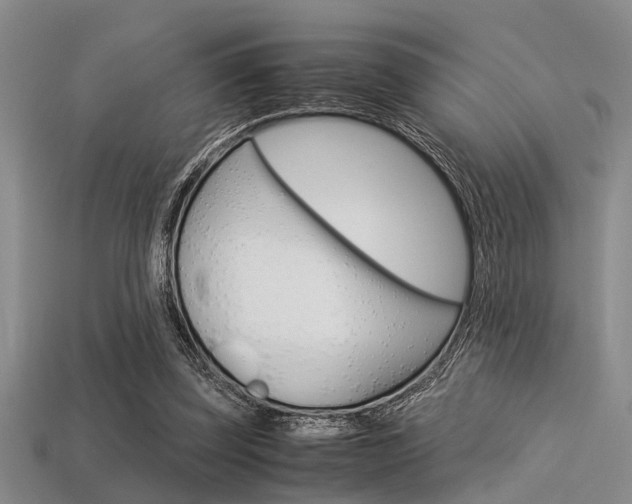 X0000113560347200909181025