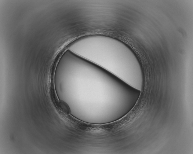 X0000113560348200909181025