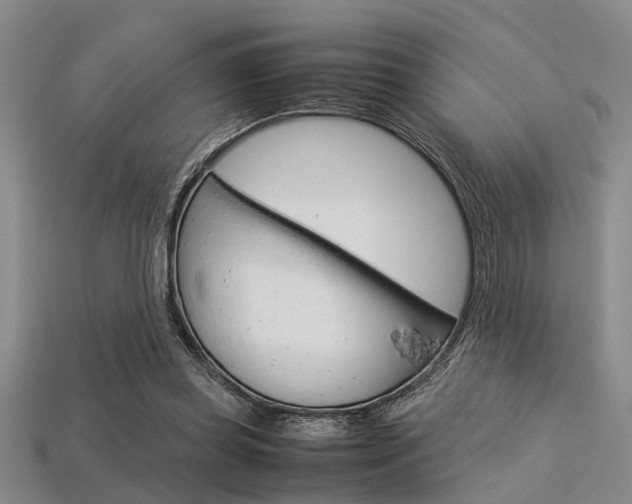 X0000113560349200909181025