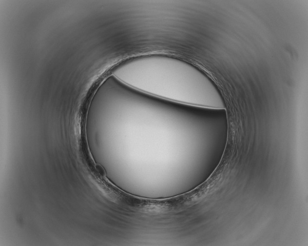 X0000113560350200909181025