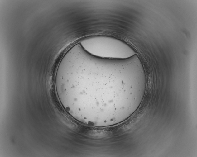 X0000113560351200909181025