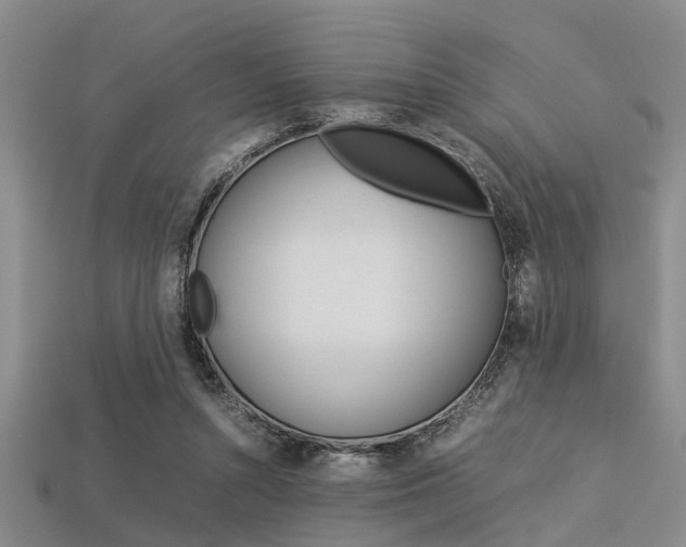 X0000113560352200909181025