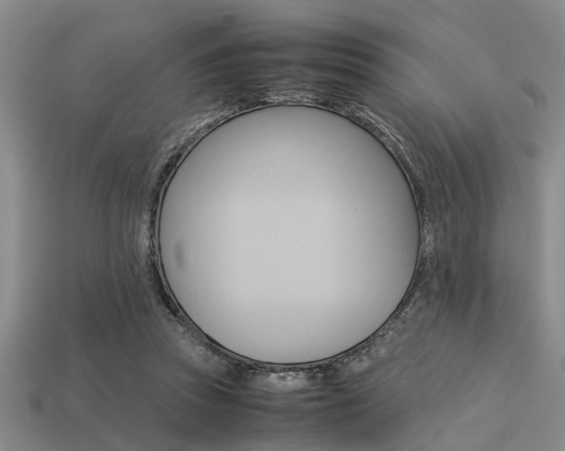 X0000113560353200909181025