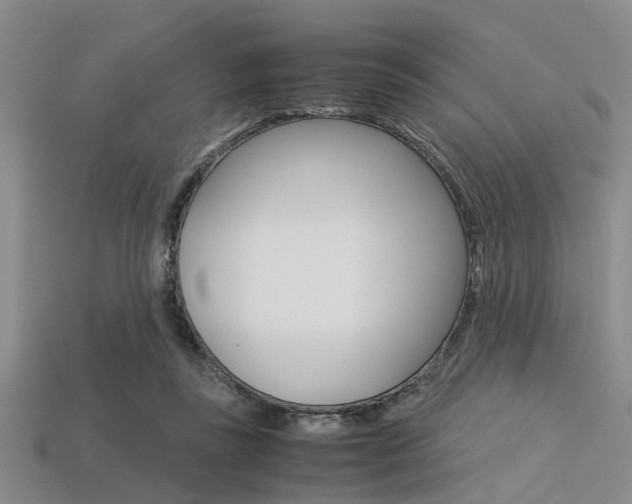X0000113560355200909181025