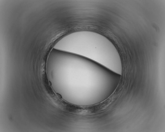 X0000113560356200909181025