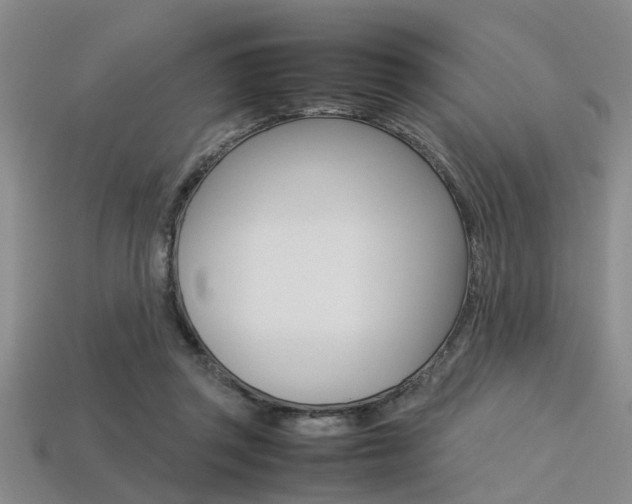 X0000113560357200909181025