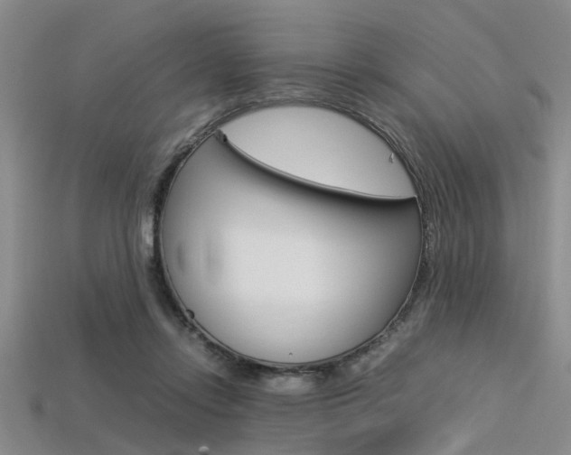 X0000113560358200909181025