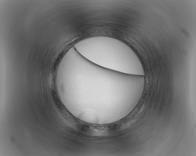 X0000113560359200909181026