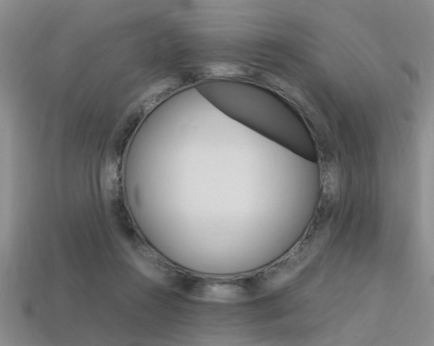 X0000113560360200909181026