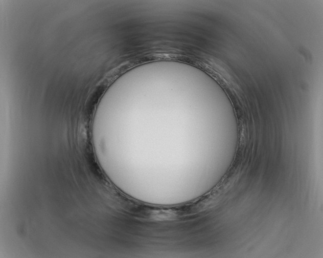 X0000113560363200909181026