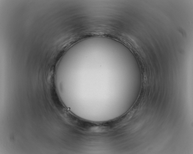 X0000113560364200909181026