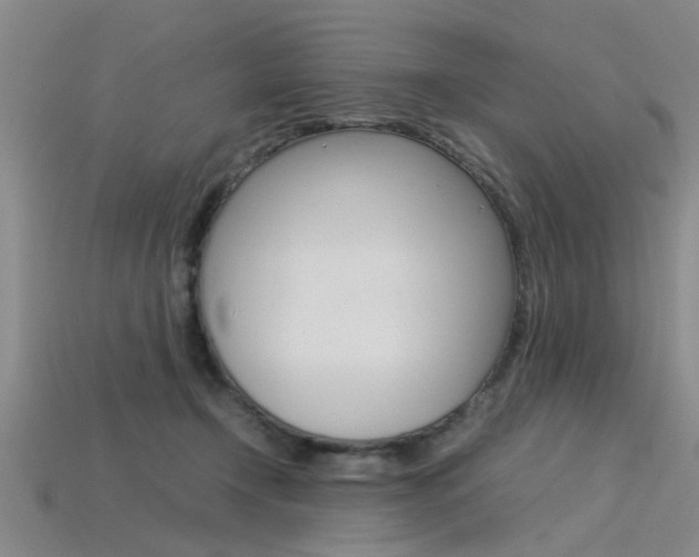 X0000113560366200909181026