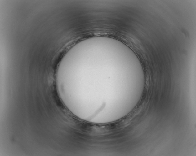 X0000113560367200909181026