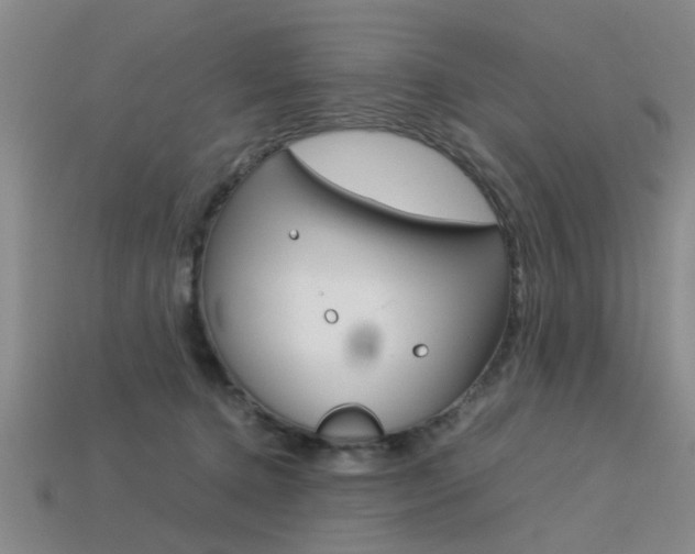 X0000113560368200909181026