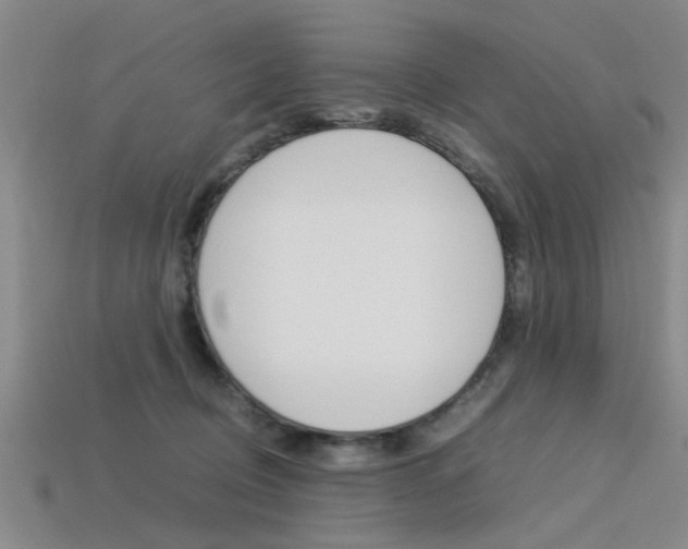 X0000113560370200909181026