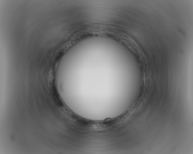 X0000113560372200909181026
