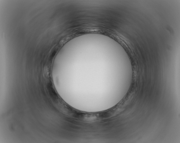 X0000113560373200909181026