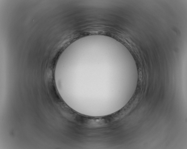 X0000113560375200909181026